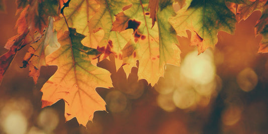 Helping You This Stoptober - A Beginners Guide