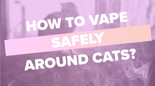 How to Vape Safely Around Cats: Tips for a Pet-Friendly Vaping Experience