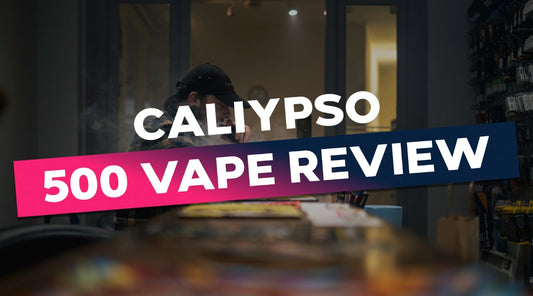 Caliypso 500 Review