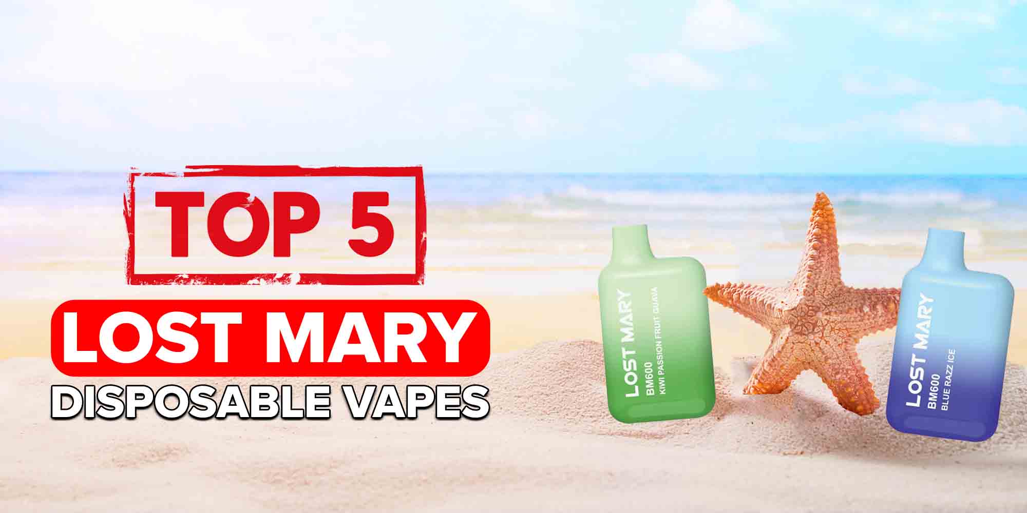 Top 5 Elf Bar Lost Mary Disposable Vape Flavours