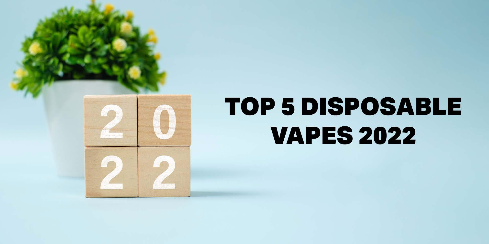 Top 5 disposable vapes 2022