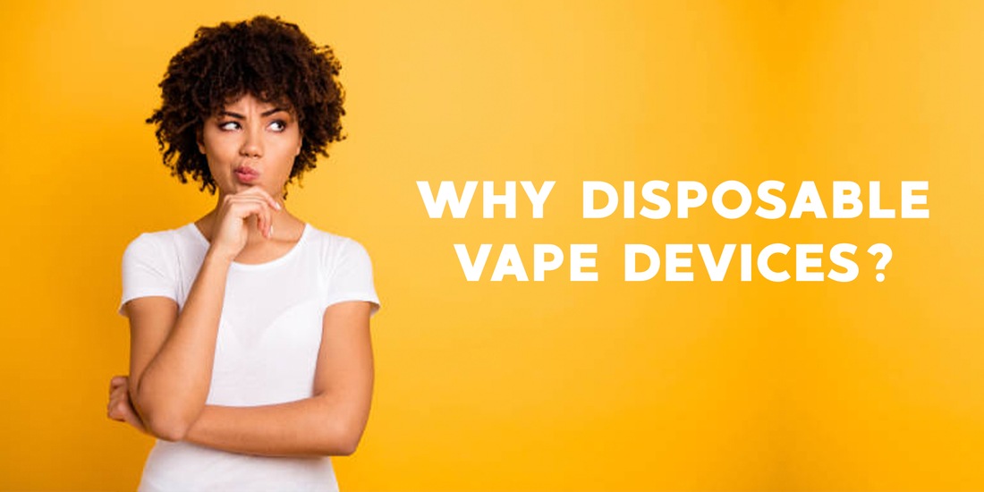 Why Choose Disposable Vapes? | Vapor Shop Direct Why Choose Disposable Vapes? | Vapor Shop Direct